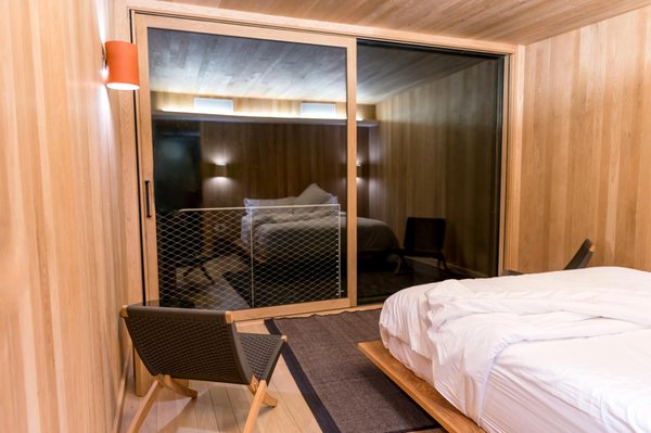 Nématodes : la clé naturelle pour éliminer les mouches terreaux