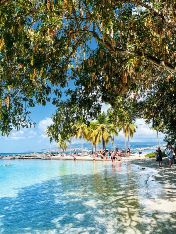 Des photos sur la Martinique : offrez un morceau de paradis à vos proches